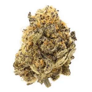 Meat Breath Clone